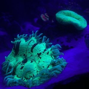 Meet your Posher, Erik